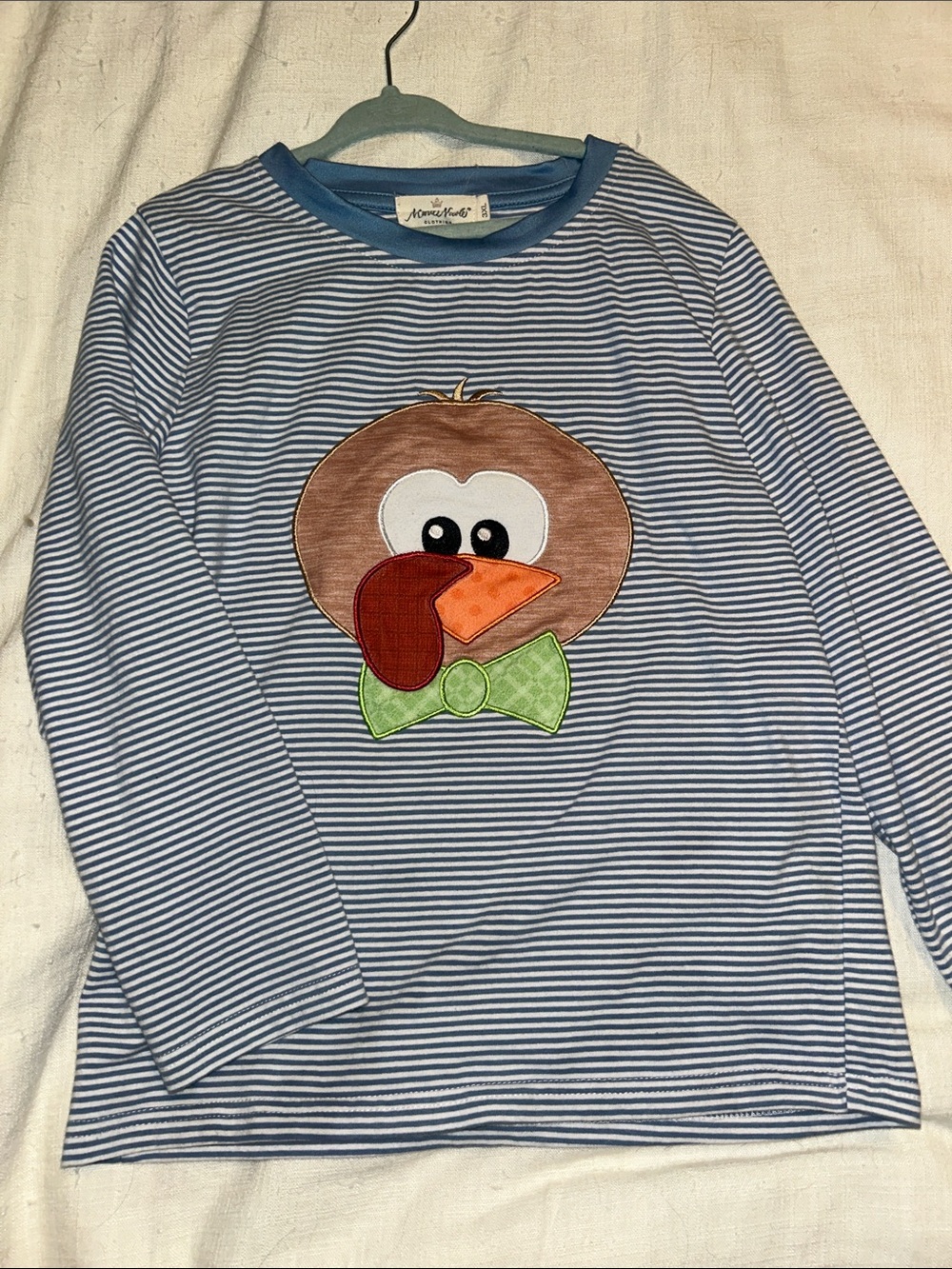 Boys' Blue & White Striped Long Sleeve Top with Turkey Applique